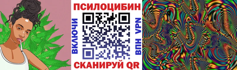 Псилоцибиновые грибы мицелий  купить закладку  Горбатов 