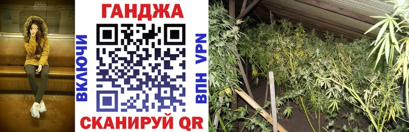 Бошки марихуана конопля Горбатов